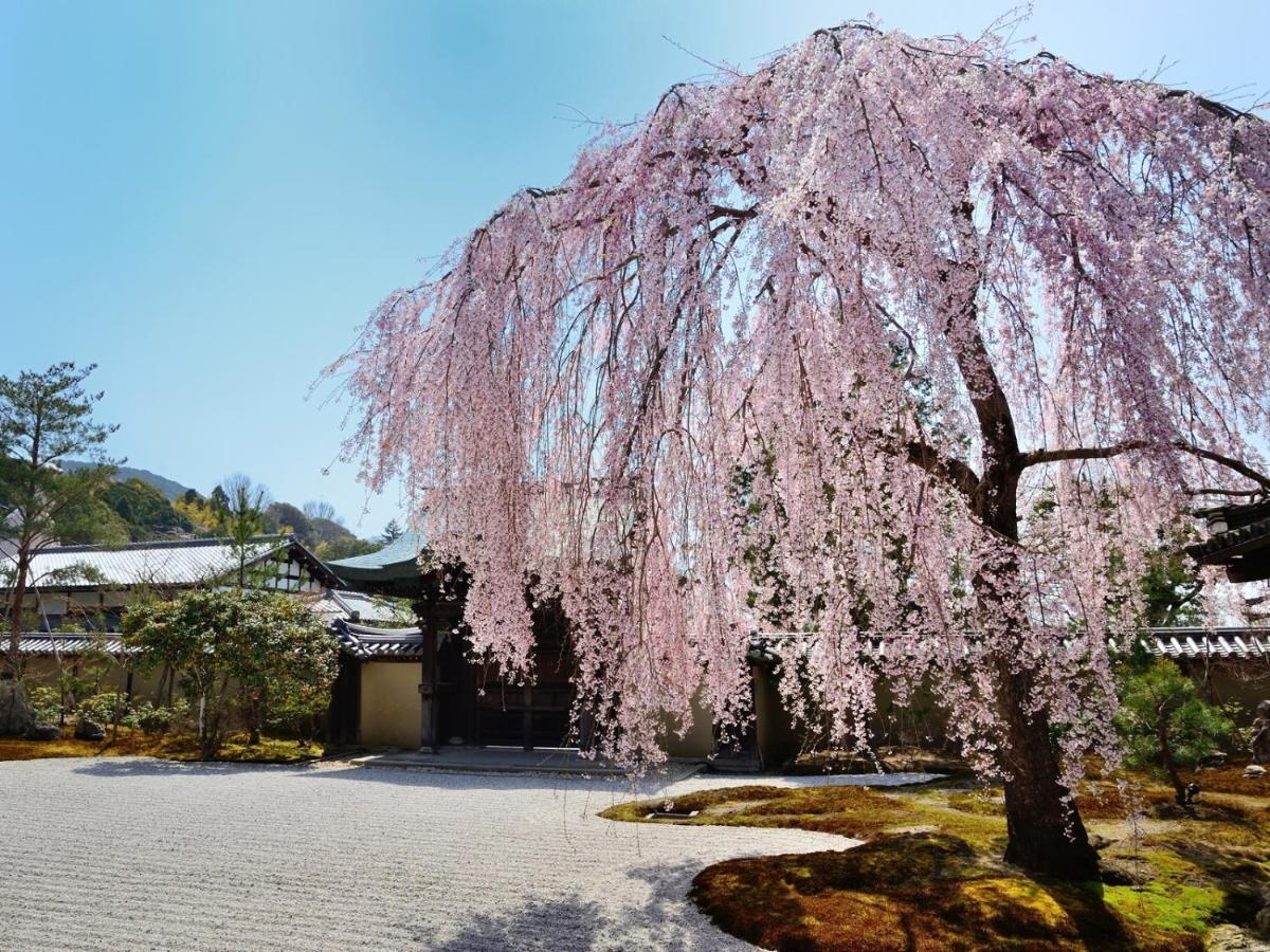 The Pocket Hotel Kyoto Karasuma Gojo Exterior photo